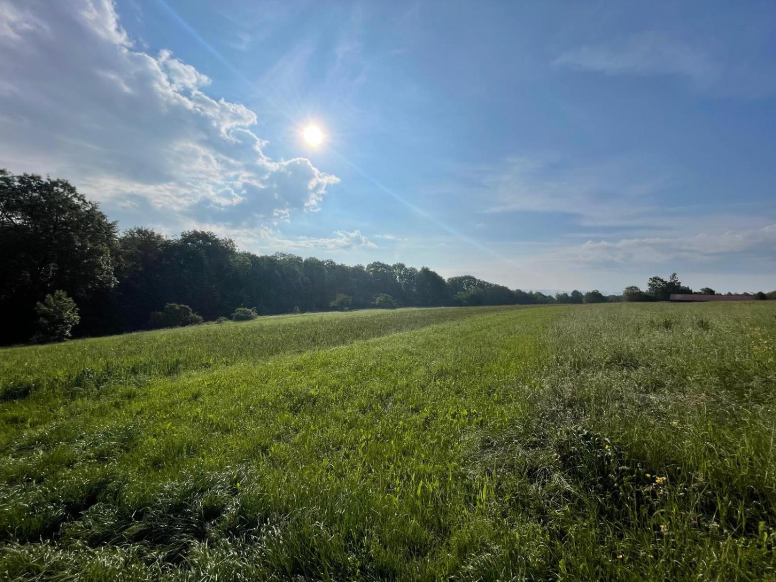 Tinyhaus #4 Huelben - Ortsrand - Kostenlose Parkplaetze Hulben Exteriör bild